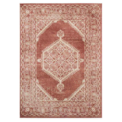 Hicklin Oriental Indoor Rug