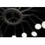 Dear Ingo 16 - Light Chandelier-9840303