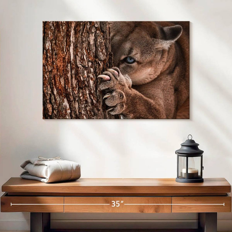Cougar Brampt Peaking Young, H 16 po x l 24 po