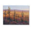 «Desert Cactus Plants» par Tim Otoole-100258681-118195298