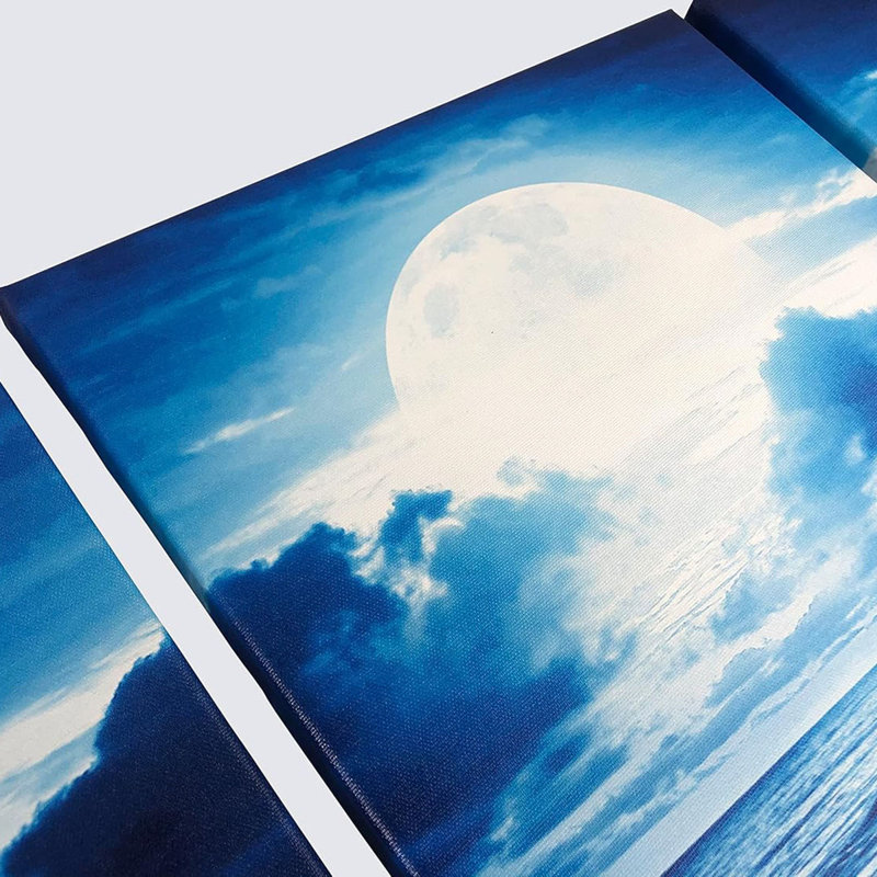 3 Piece Wrapped Canvas Print, 60 cm H x 120 cm W
