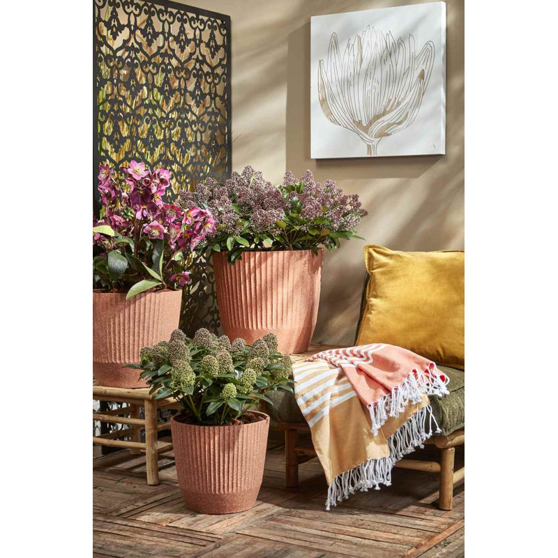 Aliviana Ceramic Pot Planter