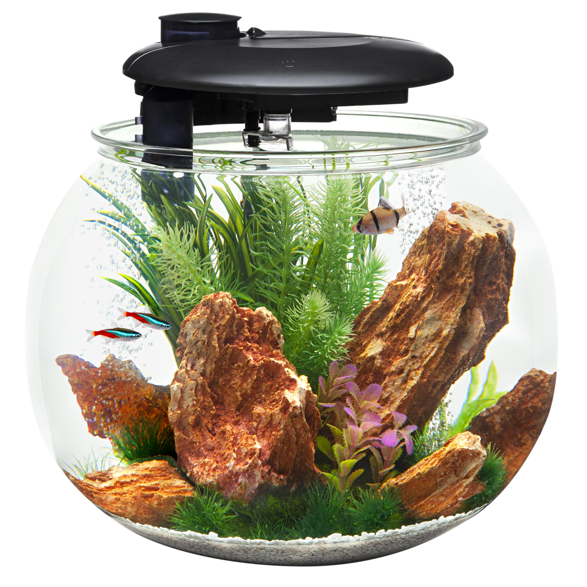 Best 10 Gallon Aquarium Light