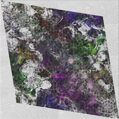 Indoor Rug