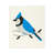 Set Of 2 Blue Jays Dishcloth