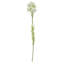 Pack of 6 x 60cm White Starflower