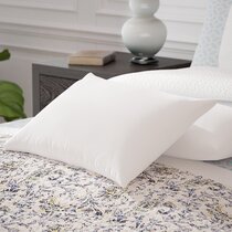 https://assets.wfcdn.com/im/27162955/resize-h210-w210%5Ecompr-r85/4884/48843458/Indoor%2FOutdoor+Throw+Pillow+%28Set+of+2%29.jpg