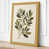 Ochre Border selected