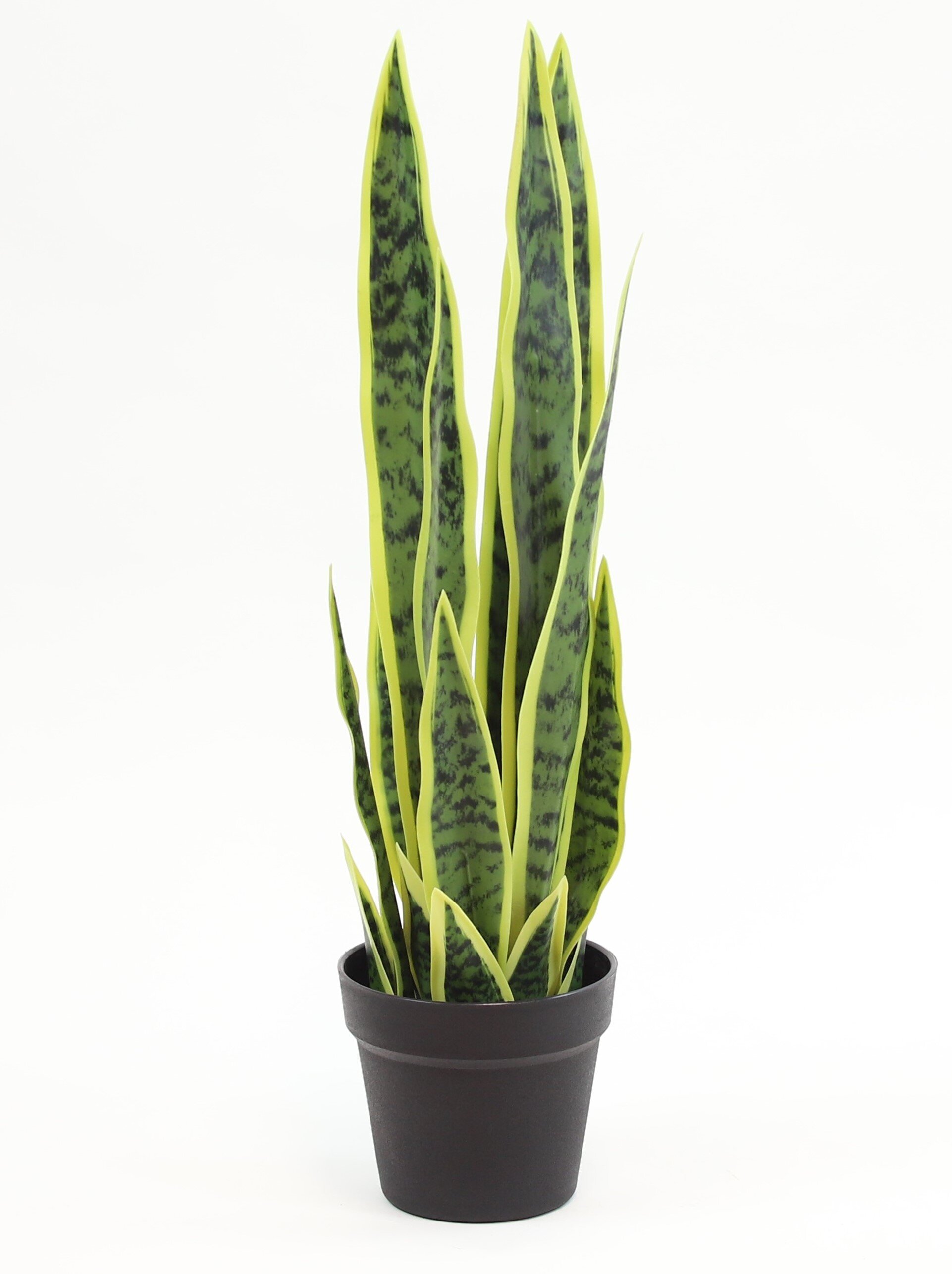 Primrue Artificial Snake Plant in Pot Liner & Reviews | Wayfair