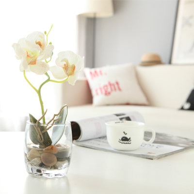 Orchid Arrangement in Vase