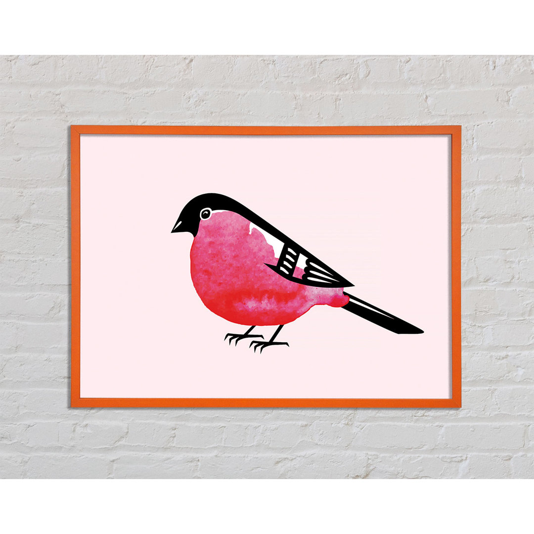 Borodale Pink Robin Breast - Einzelner Bilderrahmen Kunstdrucke