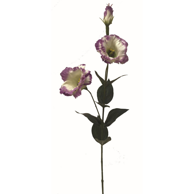 Tige de lisianthus, Blanc / mauve