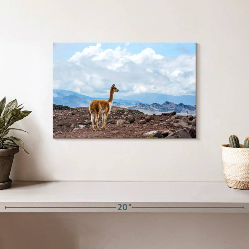 Brampt Vicuna, 8" H x 12" W