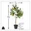 Citronnier artificiel en pot 25 po