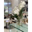 Vanda Orchids And Driftwood Inside Glass Cylinder