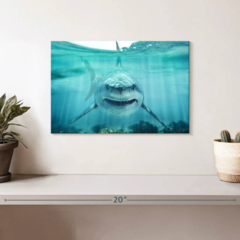 Brampt Predatory White Shark, 8" H x 12" W