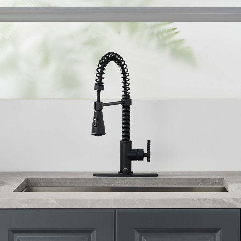 Robinet de cuisine à poignée simple Bolden Casainc 1,8 GPM Britt, Noir mat