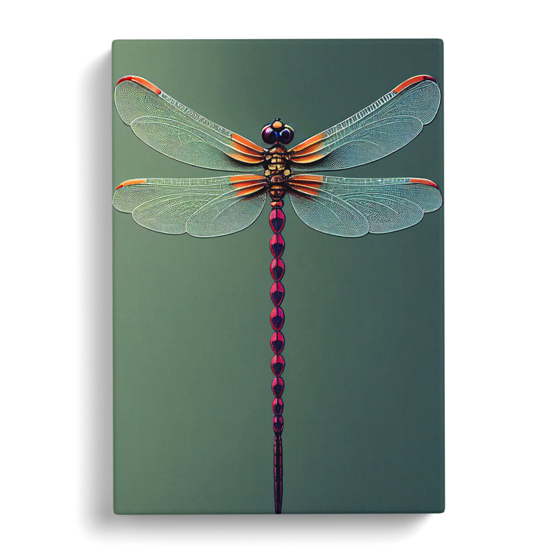 Perfect Dragonfly - Print, Wrapped Canvas, 76cm H x 50cm W x 3cm D, No Matte