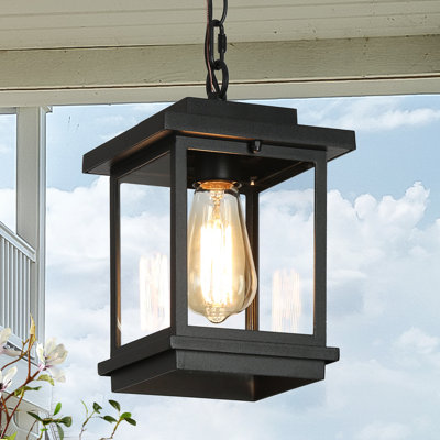 Lanterne suspendue d'extérieur Cosimo à 1 lumière, 30 cm (H) x 17 cm (L), pour endroits humides