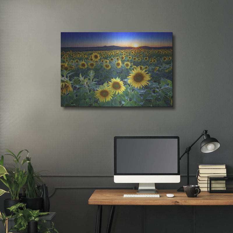 Mur de métal «Sunset In Aroostook County» par Rick Berk, H 24 po x l 36 po