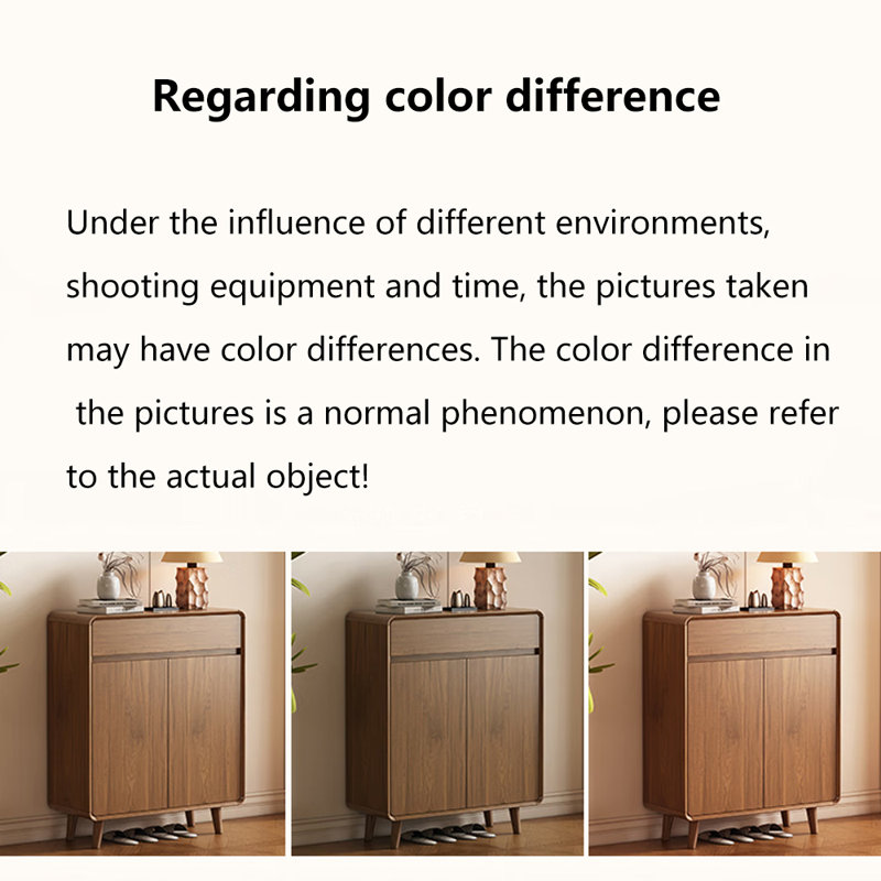 Armoire de rangement pour chaussures 20 paires Schirado, 39.37" H x 39.37" W x 13.78" D