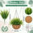 Artificial Hanging Plants with Basket