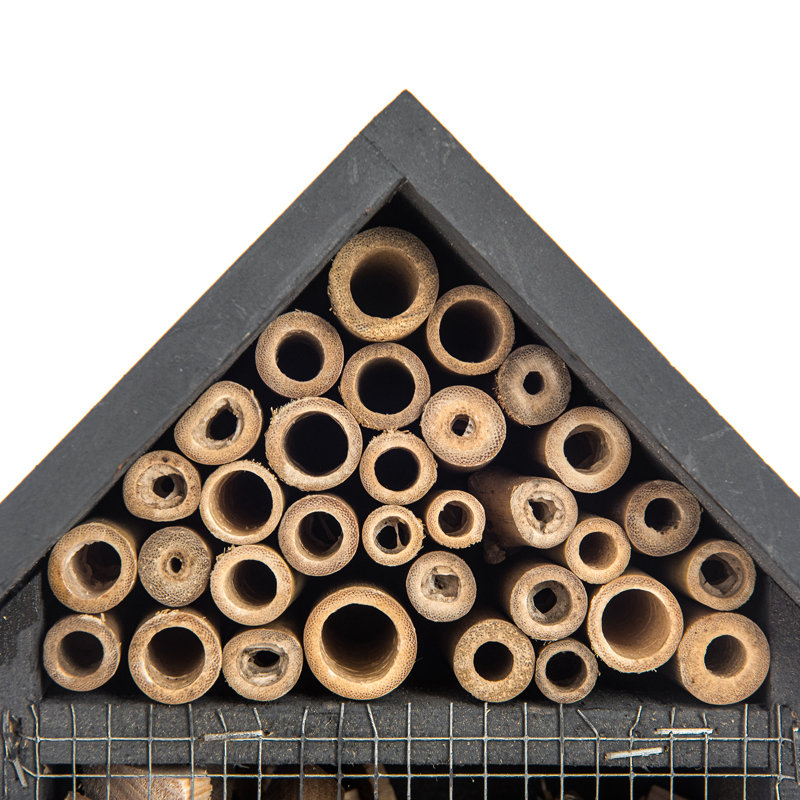 Abeline Mounted Bird House