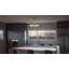 Danica 1-Light Chandelier