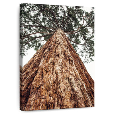 Harnek Sierra Redwood