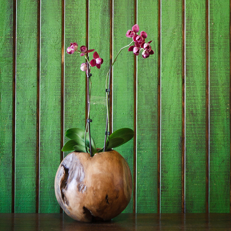 Pitts Teak Ball Pot - Small 8"Dia.