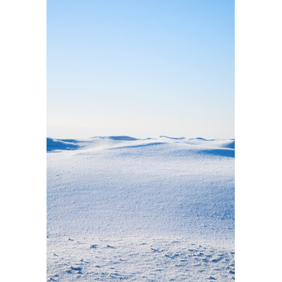 Snowy Tundra - Wrapped Canvas Print