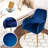 Jevita Velvet Arm Chair, Set Of 2-857611802