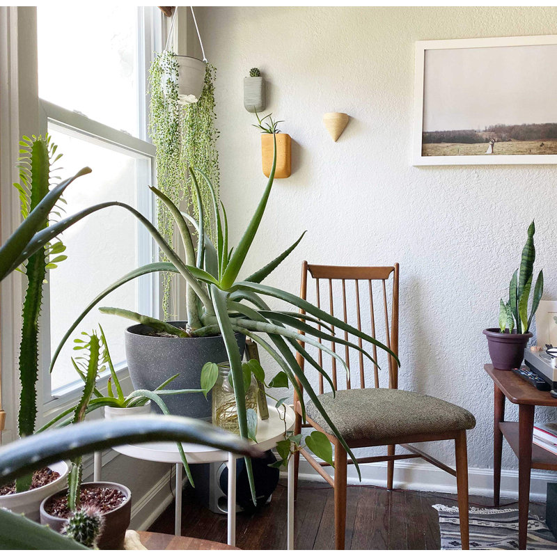 Ceramic Wall Planter