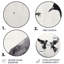 Salem - Animals Round Metal Art-109669167