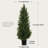 48''Artificial Cedar Tree Set In A Pot