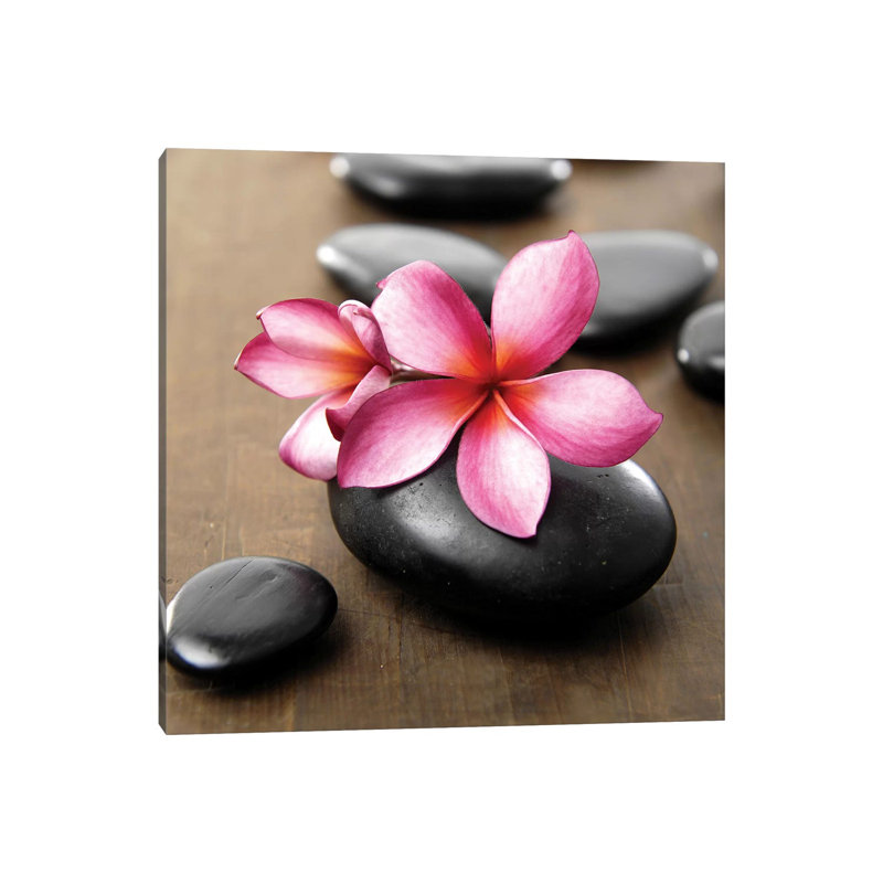 Zen Pebbles Iv by PhotoINC Studio - Wrapped Canvas Print, 45.72 cm H x 45.72 cm W x 1.91 cm D