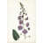 Black Floater Frame
