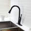 Pull-out Sprayer Stainless Steel Oil-rubbed Bronze Modern Kitchen Decor