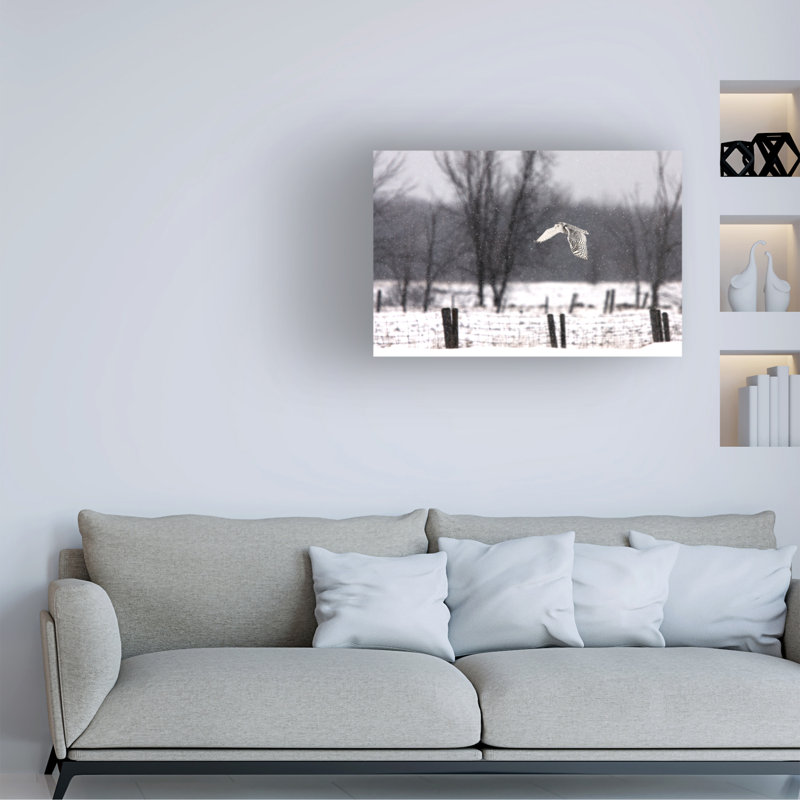 Art sur toile par Jim Cumming, H 30 po x l 47 po
