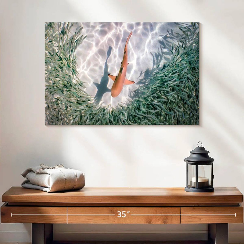 Brampt Baby Blacktip Reef Shark, 16" H x 24" W