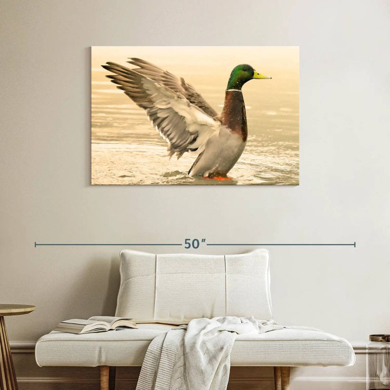Canard colvert majestueux Brampt, H 26 po x l 39 po