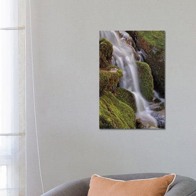 Mossy Waterfall by Brian Wolf - Wrapped Canvas Print