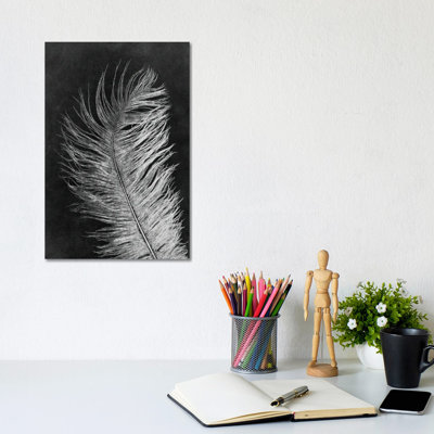 Plume foncée III - impression d'art mural