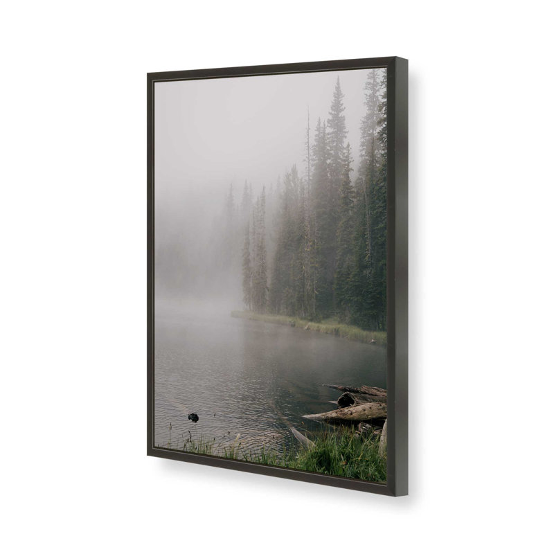 «Foggy Lake» par Garima Dhawan, reproduction d'art sur toile, H 16 po x l 12 po, Noir