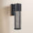 Derek Wall Light-726296202-726296207-726296241
