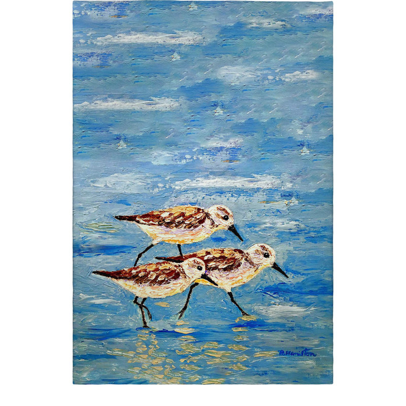 Serviette d'invité Sandpiper Race