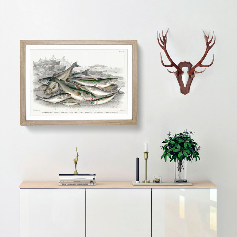 Beached Fish PL.67 1 Piece Single Picture Frame Painting, 24cm H x 33cm W x 2cm D, Oak Framed