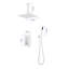 Système de pomme de douche 16 po-123949139