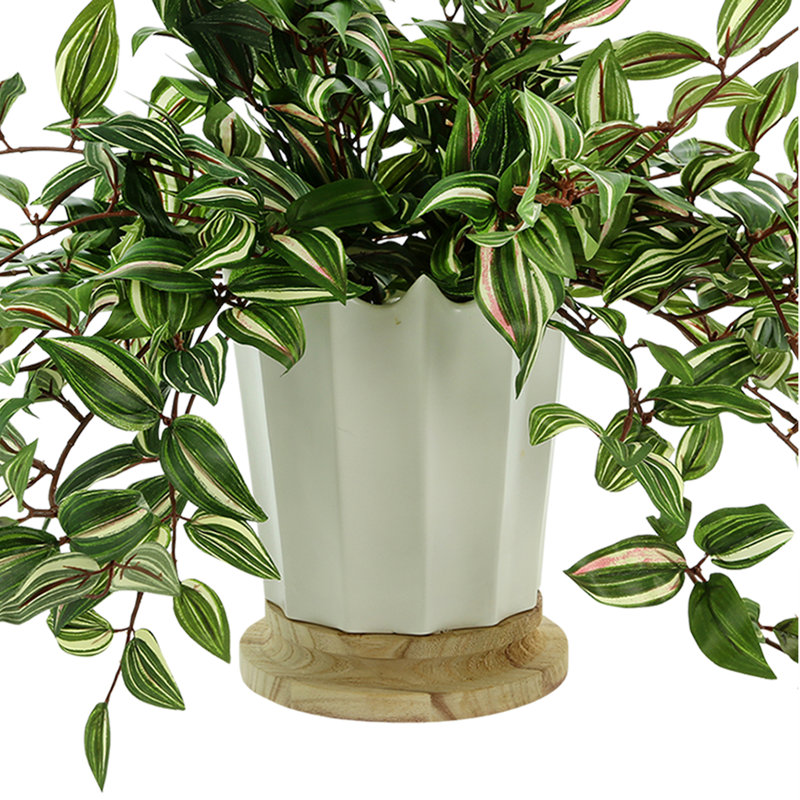 Nugent Faux Tradescantia Plant in Ceramic Vase