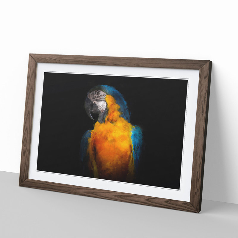 A Blue and Yellow Macaw Parrot - Picture Frame Graphic Art, 48cm H x 65cm W x 2cm D, Walnut Framed